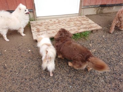 f:id:roukenhome-ann:20190516142027j:plain f:id:roukenhome-ann:20190516142027j:plain