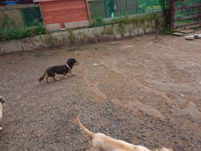 f:id:roukenhome-ann:20190516142034j:plain f:id:roukenhome-ann:20190516142034j:plain