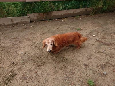 f:id:roukenhome-ann:20190516142127j:plain f:id:roukenhome-ann:20190516142127j:plain