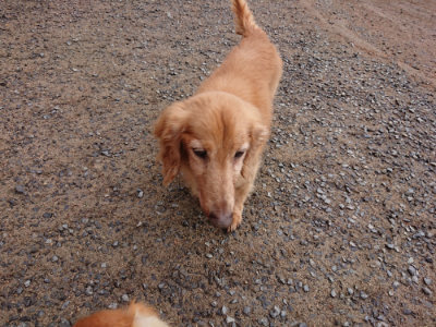 f:id:roukenhome-ann:20190516142140j:plain f:id:roukenhome-ann:20190516142140j:plain