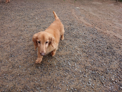 f:id:roukenhome-ann:20190516142206j:plain f:id:roukenhome-ann:20190516142206j:plain