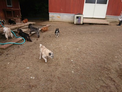 f:id:roukenhome-ann:20190516142221j:plain f:id:roukenhome-ann:20190516142221j:plain