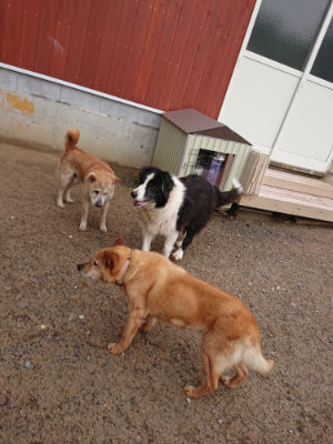 f:id:roukenhome-ann:20190516143121j:plain f:id:roukenhome-ann:20190516143121j:plain