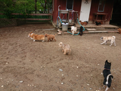 f:id:roukenhome-ann:20190516143148j:plain f:id:roukenhome-ann:20190516143148j:plain