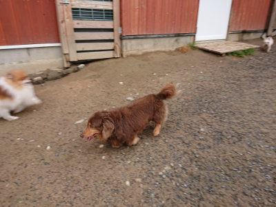 f:id:roukenhome-ann:20190516143154j:plain f:id:roukenhome-ann:20190516143154j:plain