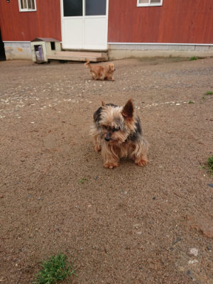 f:id:roukenhome-ann:20190516143209j:plain f:id:roukenhome-ann:20190516143209j:plain