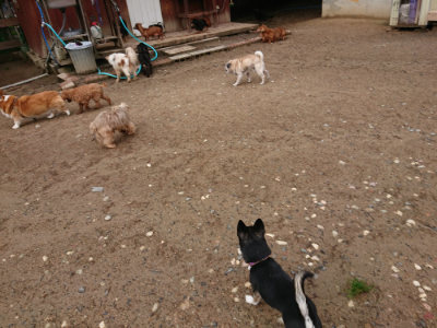 f:id:roukenhome-ann:20190516143213j:plain f:id:roukenhome-ann:20190516143213j:plain