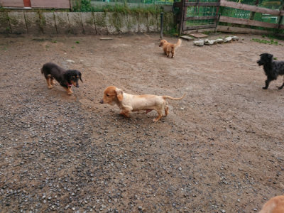 f:id:roukenhome-ann:20190516143218j:plain f:id:roukenhome-ann:20190516143218j:plain