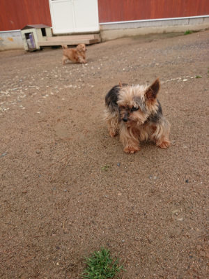 f:id:roukenhome-ann:20190516143225j:plain f:id:roukenhome-ann:20190516143225j:plain