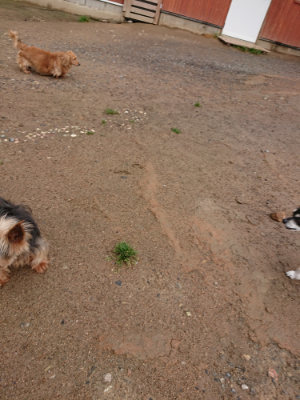 f:id:roukenhome-ann:20190516143238j:plain f:id:roukenhome-ann:20190516143238j:plain