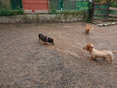 f:id:roukenhome-ann:20190516143245j:plain f:id:roukenhome-ann:20190516143245j:plain