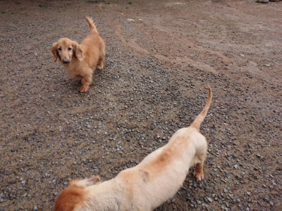 f:id:roukenhome-ann:20190516143252j:plain f:id:roukenhome-ann:20190516143252j:plain