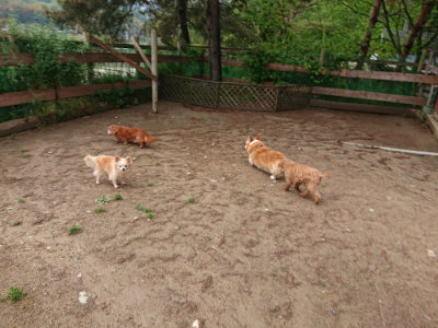f:id:roukenhome-ann:20190516143303j:plain f:id:roukenhome-ann:20190516143303j:plain