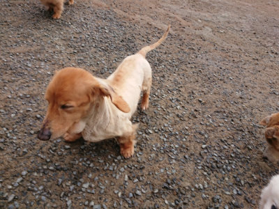 f:id:roukenhome-ann:20190516143313j:plain f:id:roukenhome-ann:20190516143313j:plain