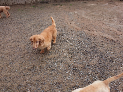 f:id:roukenhome-ann:20190516143318j:plain f:id:roukenhome-ann:20190516143318j:plain