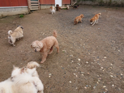 f:id:roukenhome-ann:20190516143334j:plain f:id:roukenhome-ann:20190516143334j:plain