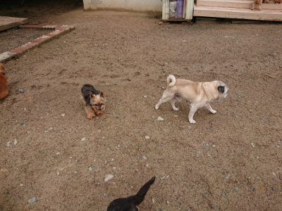 f:id:roukenhome-ann:20190516143345j:plain f:id:roukenhome-ann:20190516143345j:plain