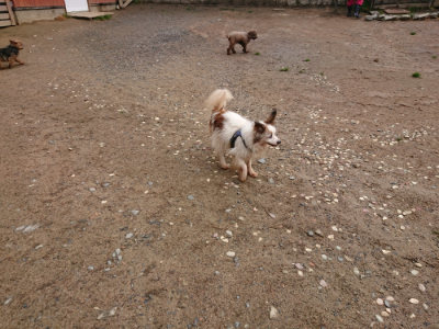 f:id:roukenhome-ann:20190516143350j:plain f:id:roukenhome-ann:20190516143350j:plain
