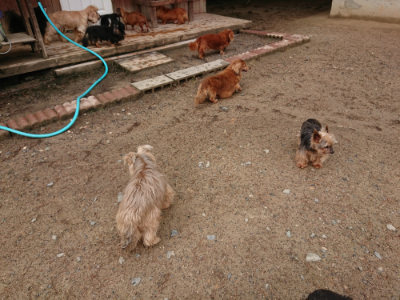 f:id:roukenhome-ann:20190516143412j:plain f:id:roukenhome-ann:20190516143412j:plain