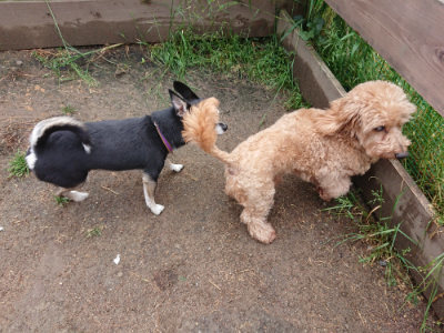 f:id:roukenhome-ann:20190516143423j:plain f:id:roukenhome-ann:20190516143423j:plain