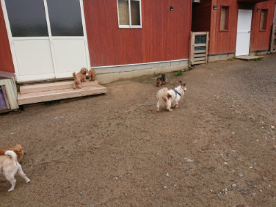 f:id:roukenhome-ann:20190516143430j:plain f:id:roukenhome-ann:20190516143430j:plain