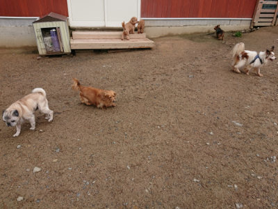 f:id:roukenhome-ann:20190516143436j:plain f:id:roukenhome-ann:20190516143436j:plain