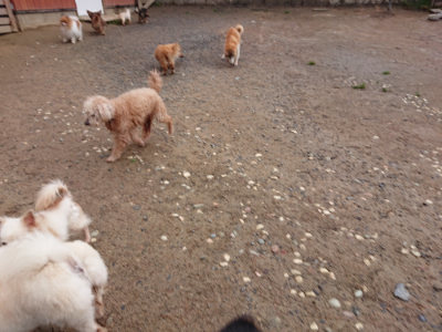 f:id:roukenhome-ann:20190516143441j:plain f:id:roukenhome-ann:20190516143441j:plain