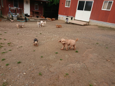 f:id:roukenhome-ann:20190516143447j:plain f:id:roukenhome-ann:20190516143447j:plain