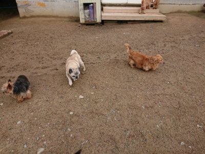 f:id:roukenhome-ann:20190516143452j:plain f:id:roukenhome-ann:20190516143452j:plain