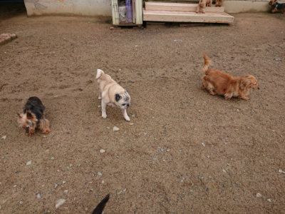 f:id:roukenhome-ann:20190516143456j:plain f:id:roukenhome-ann:20190516143456j:plain