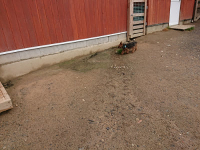 f:id:roukenhome-ann:20190516143524j:plain f:id:roukenhome-ann:20190516143524j:plain