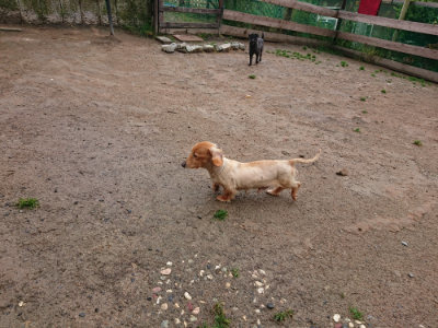 f:id:roukenhome-ann:20190516143530j:plain f:id:roukenhome-ann:20190516143530j:plain
