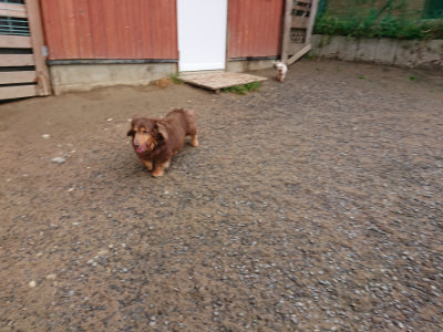 f:id:roukenhome-ann:20190516143535j:plain f:id:roukenhome-ann:20190516143535j:plain