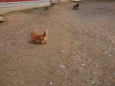 f:id:roukenhome-ann:20190516143546j:plain f:id:roukenhome-ann:20190516143546j:plain