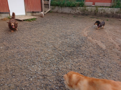 f:id:roukenhome-ann:20190516143550j:plain f:id:roukenhome-ann:20190516143550j:plain