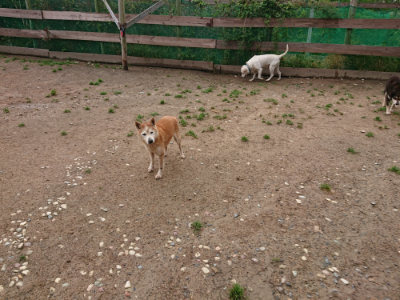 f:id:roukenhome-ann:20190516143611j:plain f:id:roukenhome-ann:20190516143611j:plain