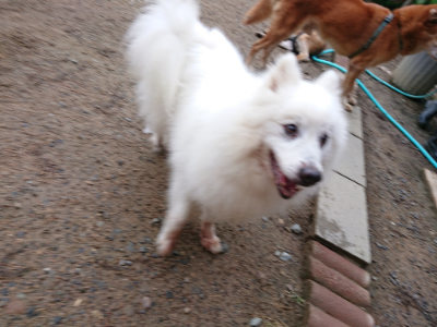 f:id:roukenhome-ann:20190516143616j:plain f:id:roukenhome-ann:20190516143616j:plain