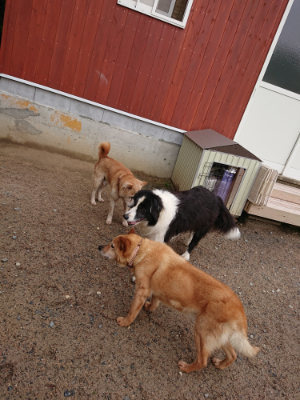 f:id:roukenhome-ann:20190516143642j:plain f:id:roukenhome-ann:20190516143642j:plain
