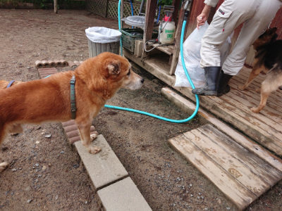 f:id:roukenhome-ann:20190516144520j:plain f:id:roukenhome-ann:20190516144520j:plain