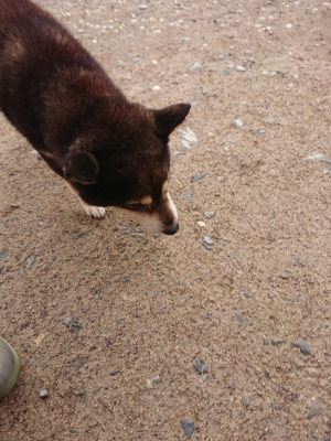 f:id:roukenhome-ann:20190516144545j:plain f:id:roukenhome-ann:20190516144545j:plain