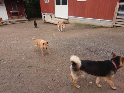 f:id:roukenhome-ann:20190516144600j:plain f:id:roukenhome-ann:20190516144600j:plain