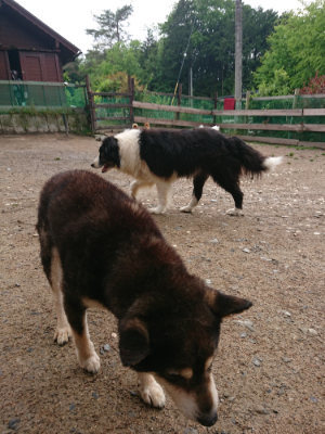 f:id:roukenhome-ann:20190516144659j:plain f:id:roukenhome-ann:20190516144659j:plain