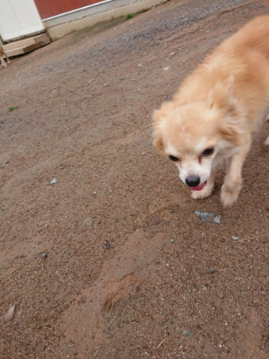 f:id:roukenhome-ann:20190516144756j:plain f:id:roukenhome-ann:20190516144756j:plain