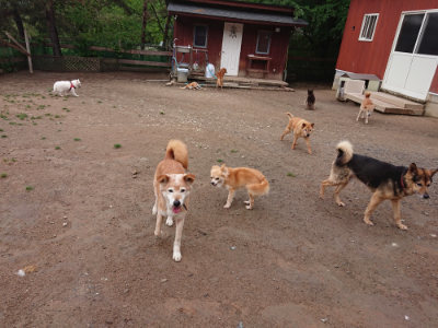 f:id:roukenhome-ann:20190516144807j:plain f:id:roukenhome-ann:20190516144807j:plain