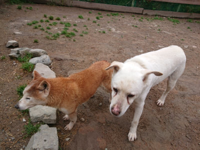 f:id:roukenhome-ann:20190516144828j:plain f:id:roukenhome-ann:20190516144828j:plain