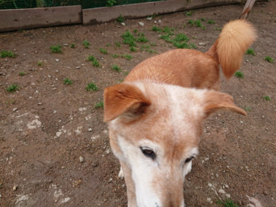 f:id:roukenhome-ann:20190516144911j:plain f:id:roukenhome-ann:20190516144911j:plain