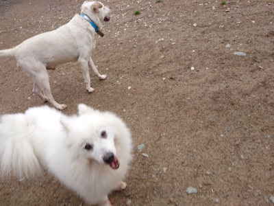 f:id:roukenhome-ann:20190516144936j:plain f:id:roukenhome-ann:20190516144936j:plain