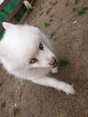 f:id:roukenhome-ann:20190516144941j:plain f:id:roukenhome-ann:20190516144941j:plain