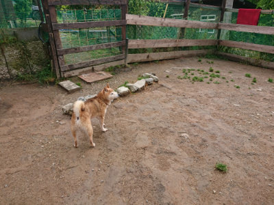 f:id:roukenhome-ann:20190516144948j:plain f:id:roukenhome-ann:20190516144948j:plain