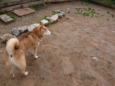 f:id:roukenhome-ann:20190516144954j:plain f:id:roukenhome-ann:20190516144954j:plain